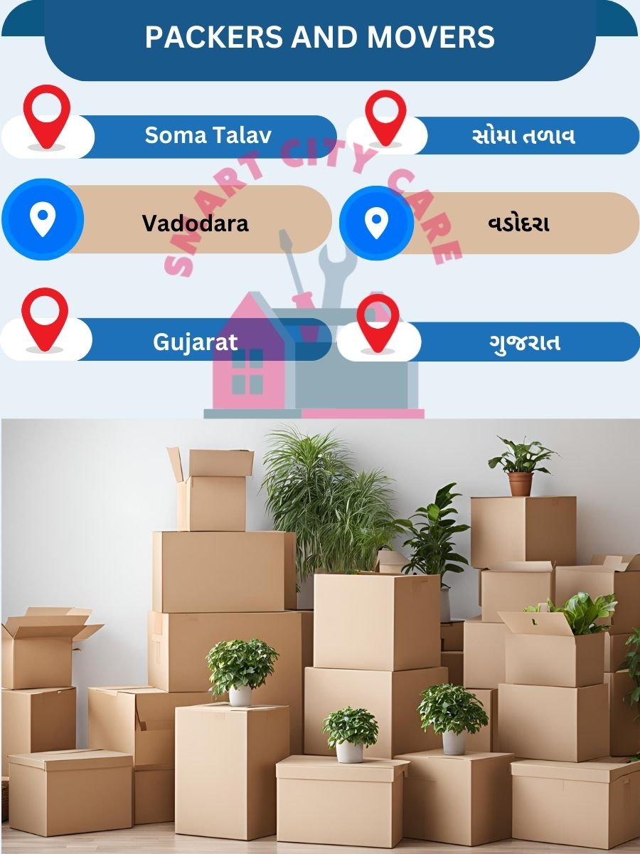 Packing and moving services in Soma Talav, Vadodara